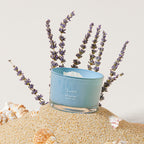 The Mini Mood Collection