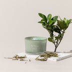 The Mini Mood Collection